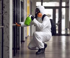 Why You Should Choose Our Mold Remediation Services in Buffalo, SC